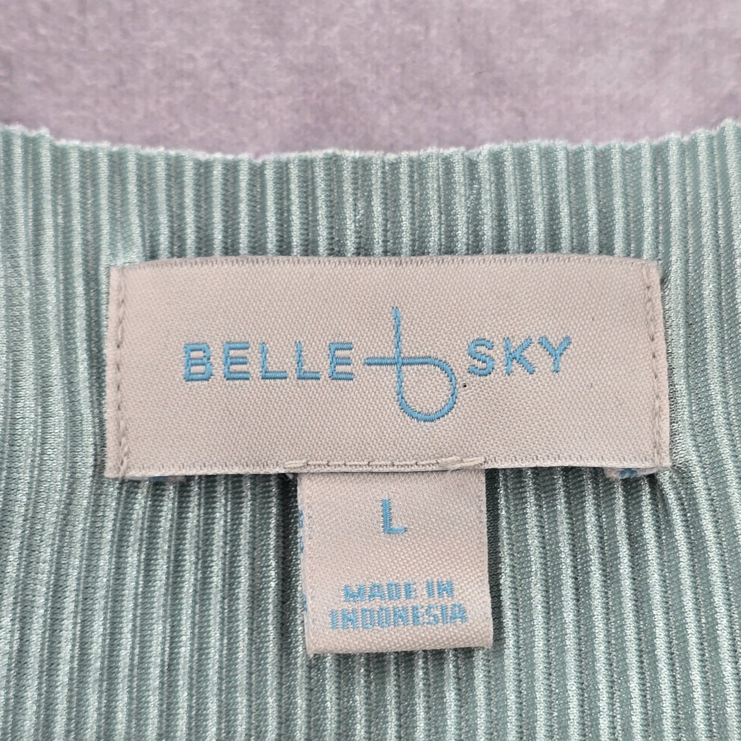 Belle Sky Green Mint Pleated Cold Short Shoulder Knee Length Boho Dress Large