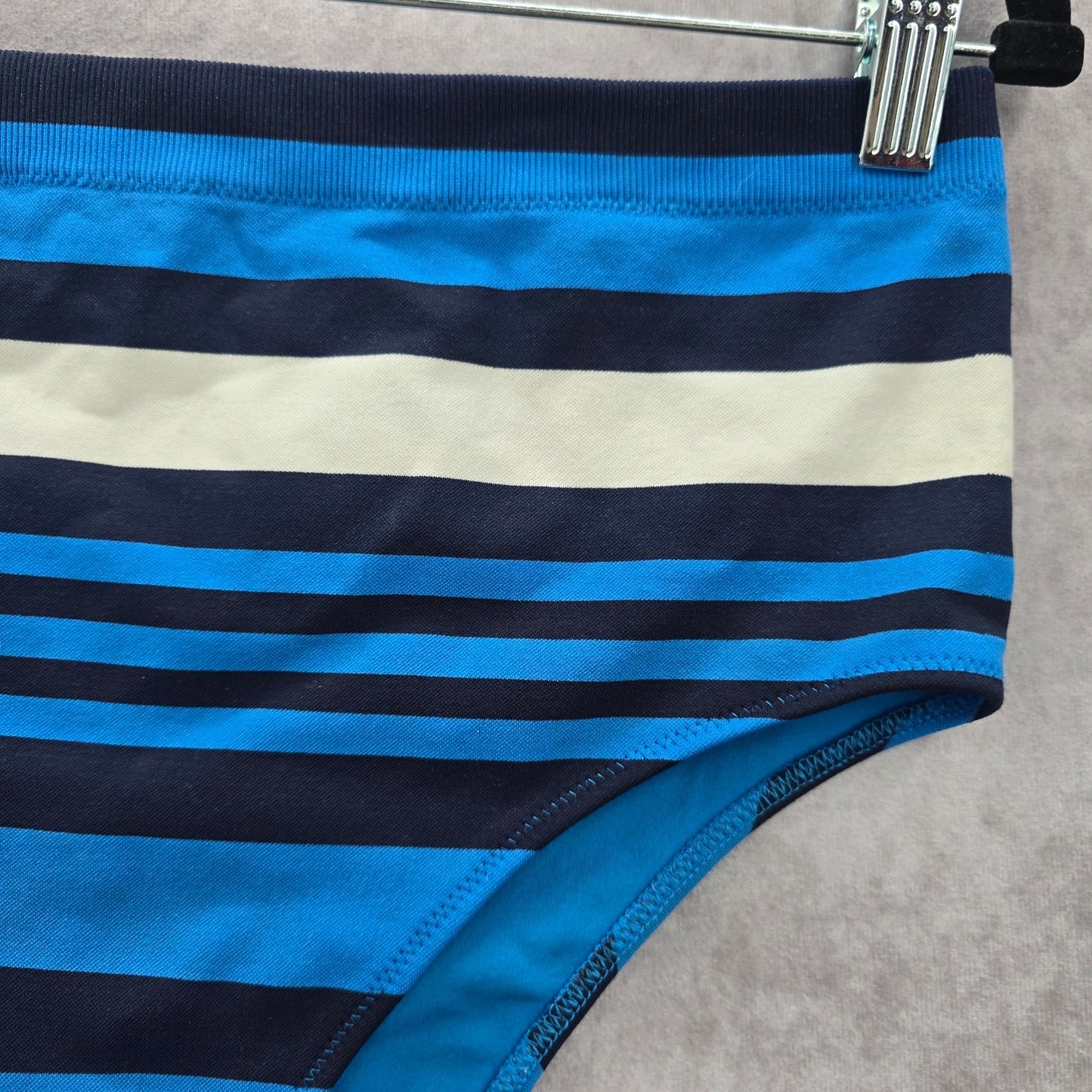 Aerie Blue Stripe Bikini Bottoms Swimwear Medium