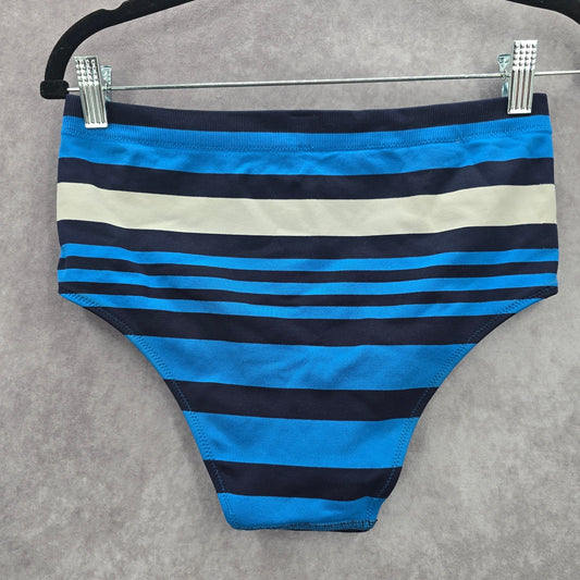 Aerie Blue Stripe Bikini Bottoms Swimwear Medium