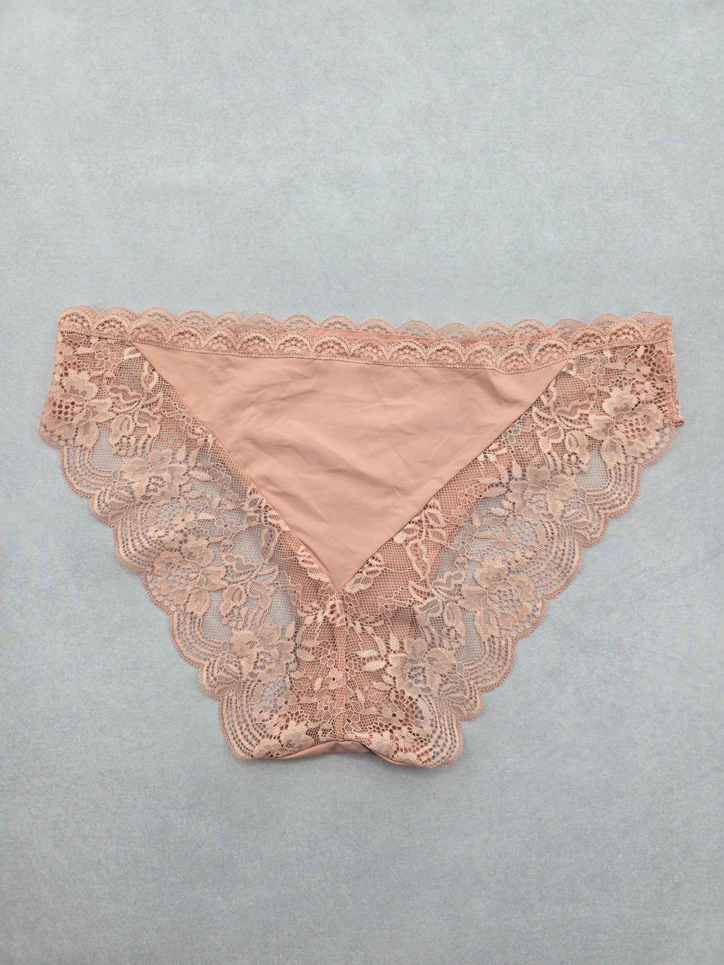 Lace Pink Panty Lace Dainty Whimsy Sexy Goth Fairy Coquette Bridal Large 12/14
