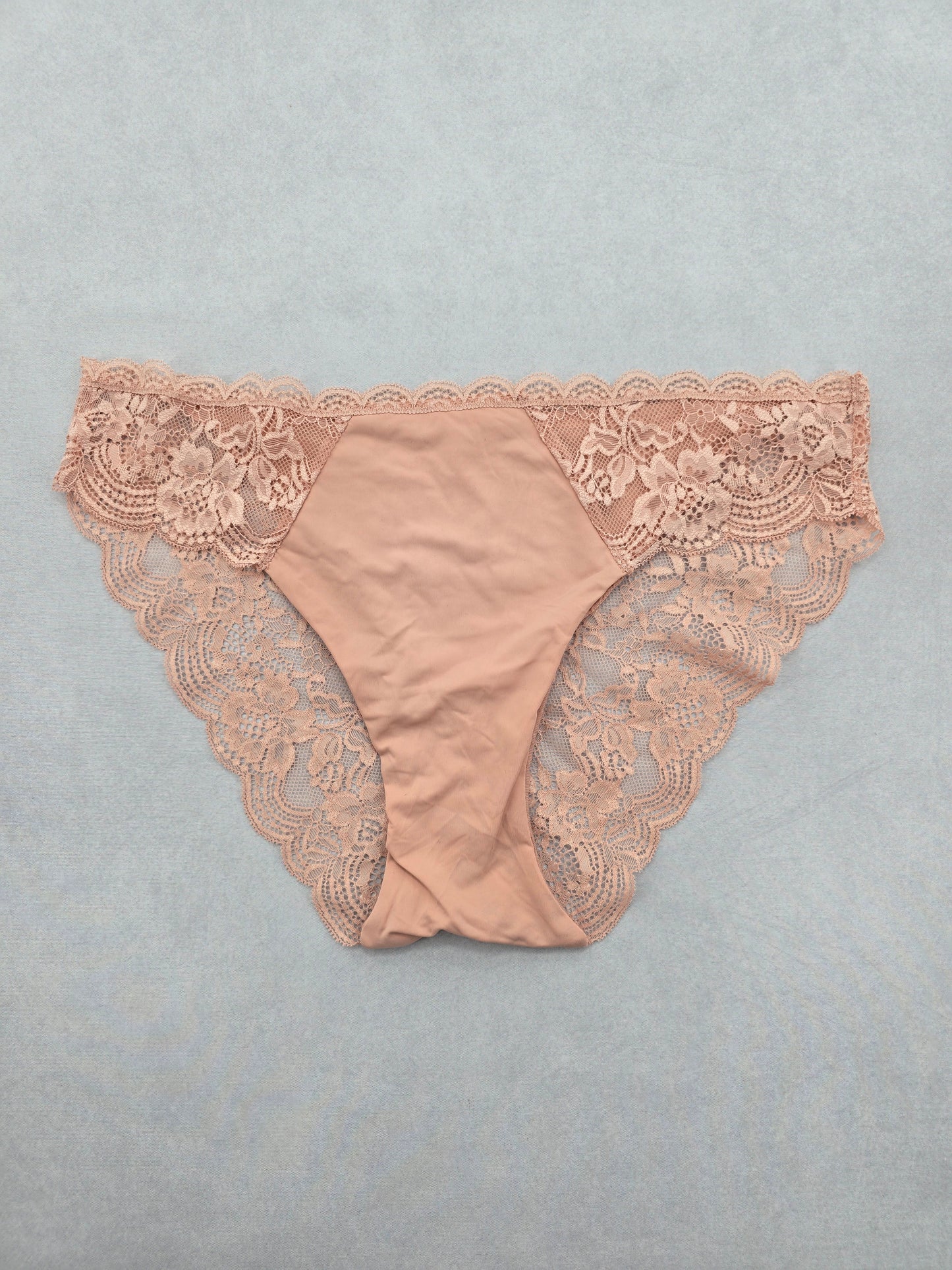 Lace Pink Panty Lace Dainty Whimsy Sexy Goth Fairy Coquette Bridal Large 12/14