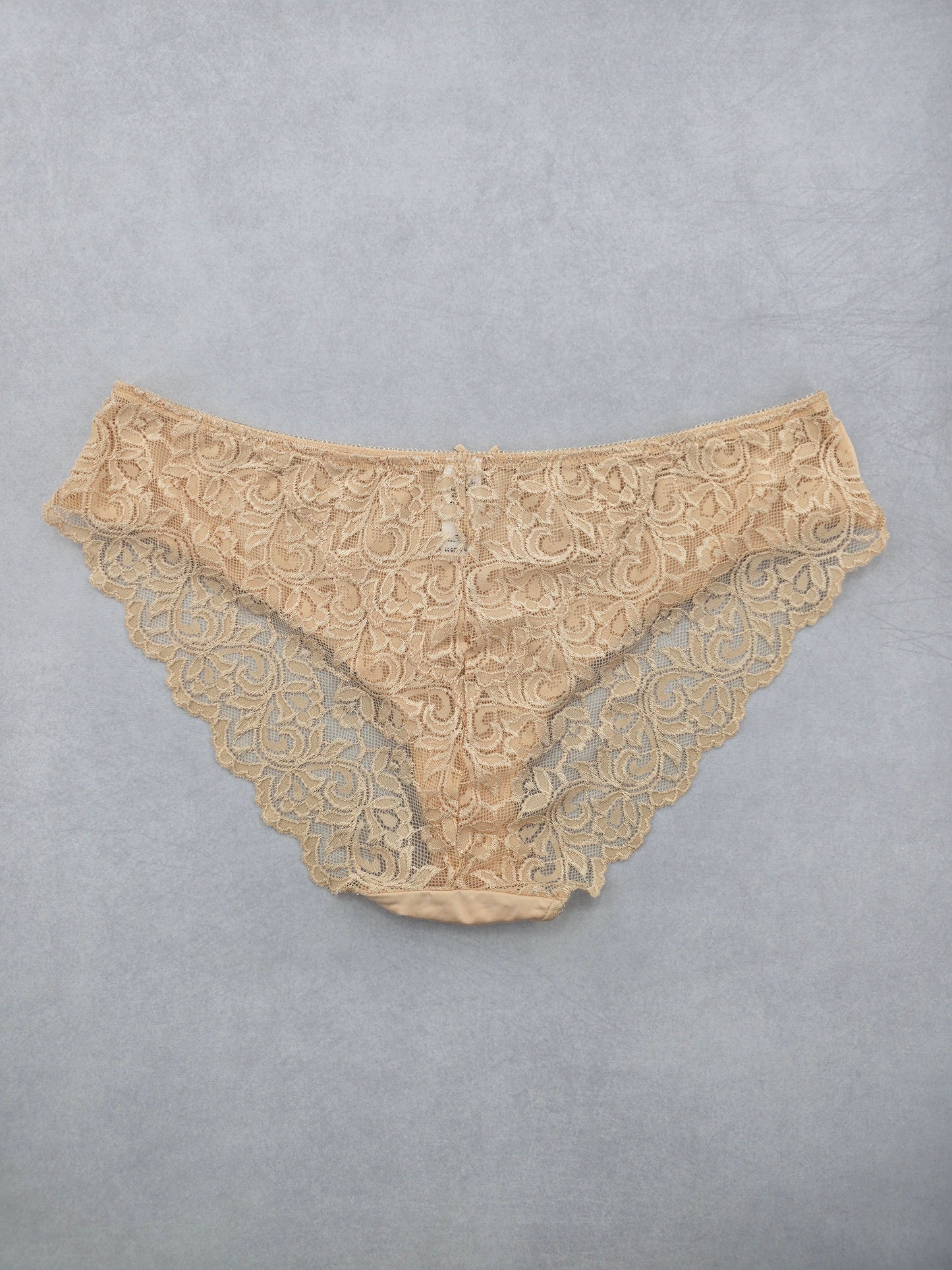 Lace Cottage Cream Whimsy Fairy Underwear Briefs Cheeky Panties Plus 16